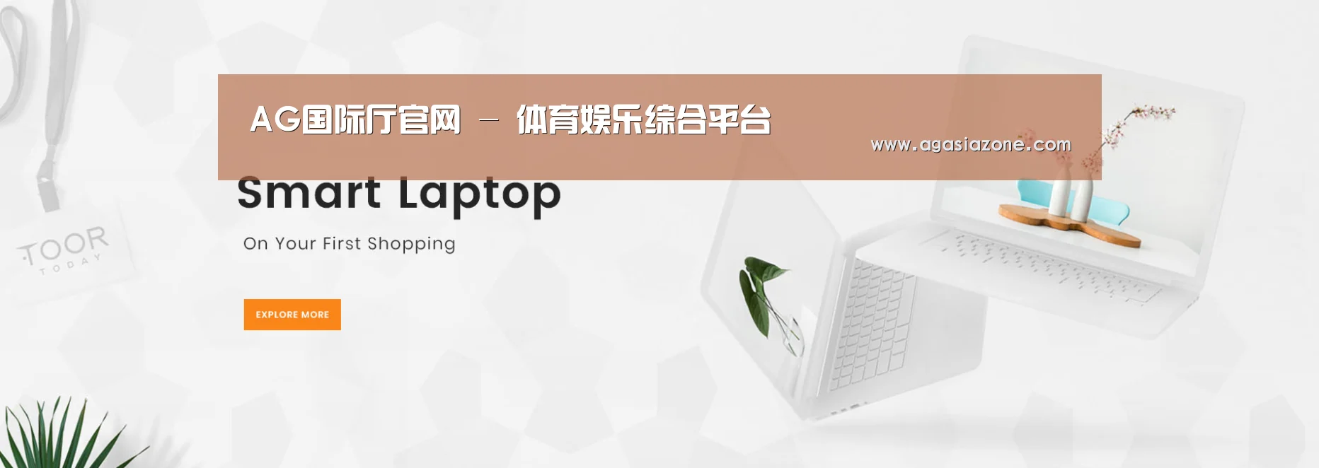 某某网络科技有限公司