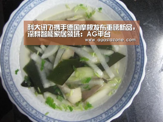 科大讯飞携手德国摩根发布重磅新品,深耕智能家居领域:AG平台(图4) AG平台