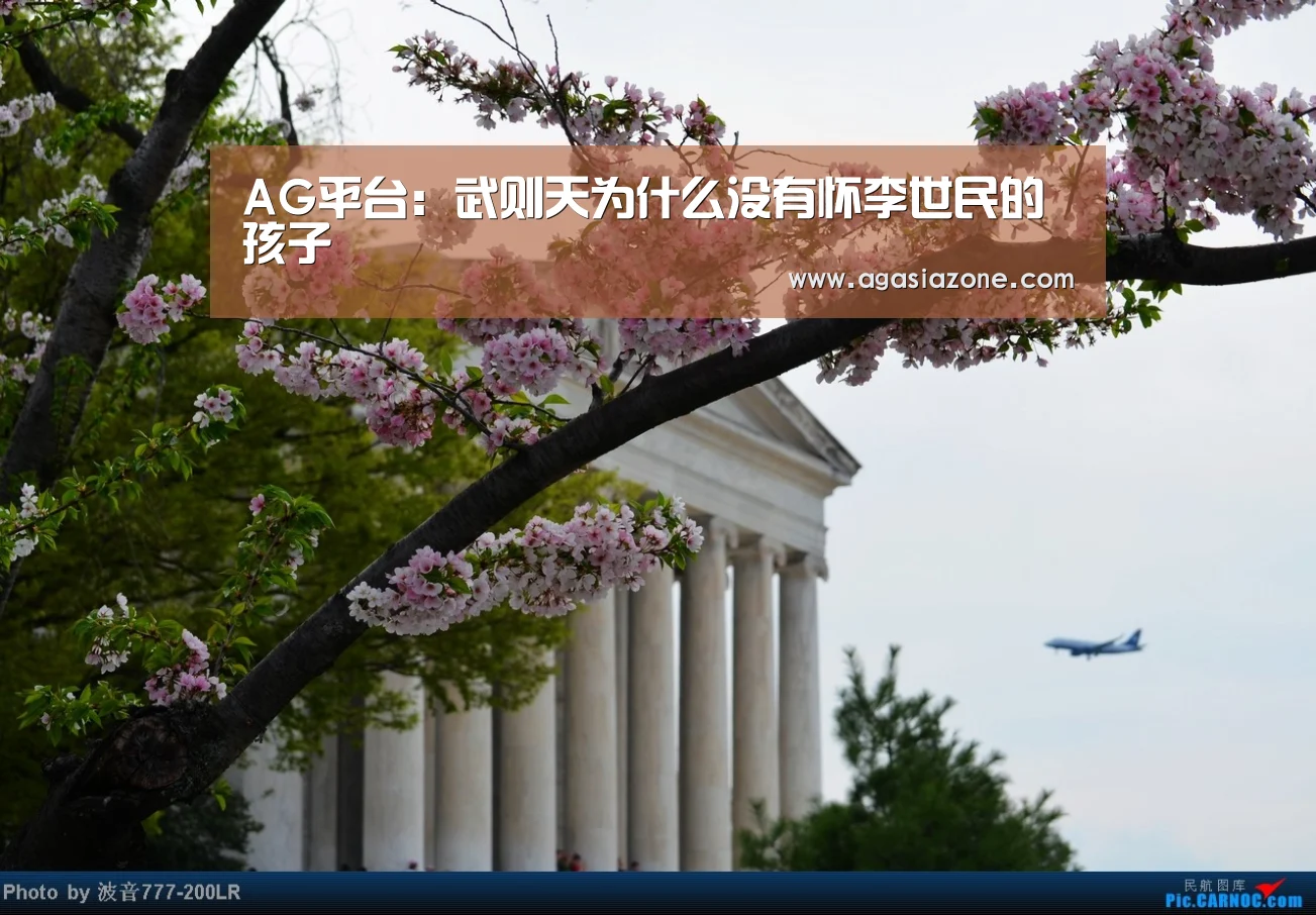 AG平台:武则天为什么没有怀李世民的孩子(图1) AG下载