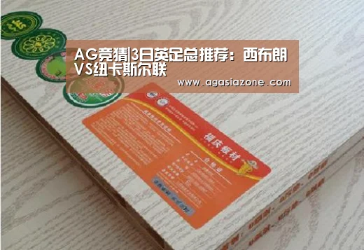 AG竞猜|3日英足总推荐:西布朗VS纽卡斯尔联(图1) AG平台
