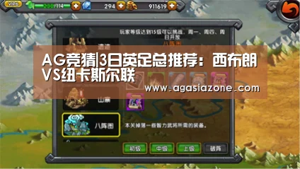 AG竞猜|3日英足总推荐:西布朗VS纽卡斯尔联(图3) AG平台
