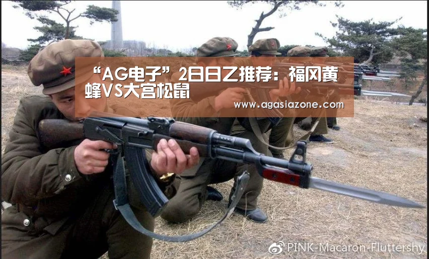“AG电子”2日日乙推荐:福冈黄蜂VS大宫松鼠(图1) AG平台